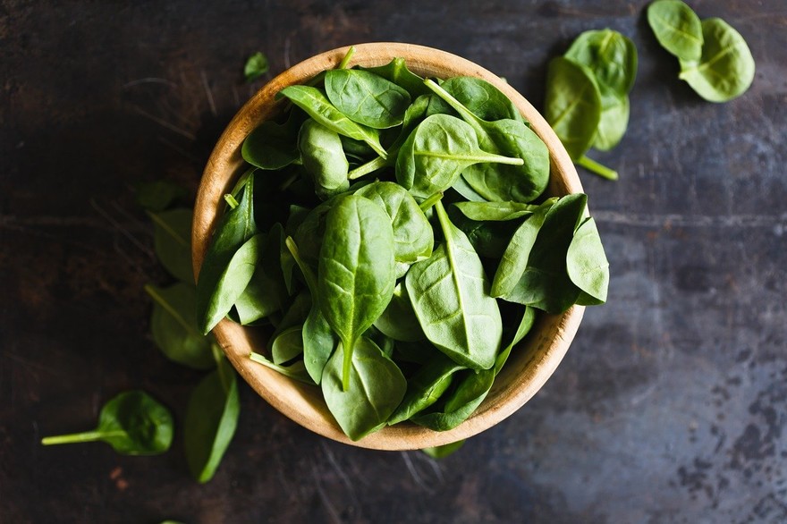 Le piante aromatiche in balcone: come coltivare sua maestà il basilico  e i suoi fratelli 