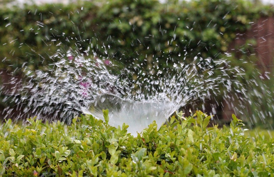 L'irrigazione fai da te nel giardino di casa 
