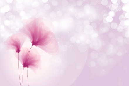  Romantic Dream 