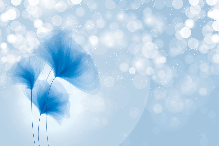 Romantic dream 03