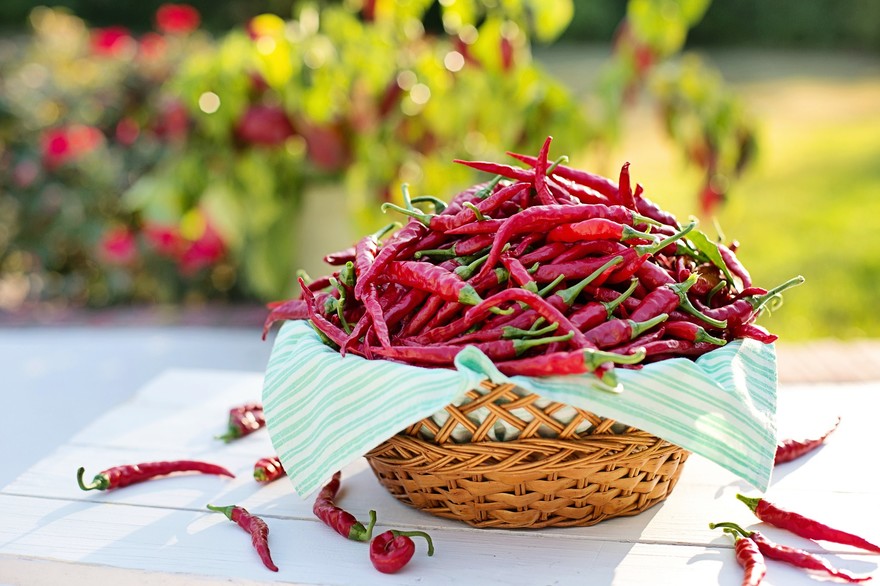 Peperoncini cayenne