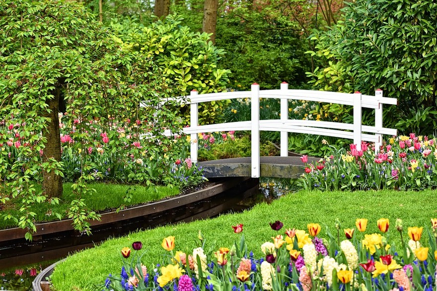 Un’aiuola a centro del giardino per dare un tocco di bellezza