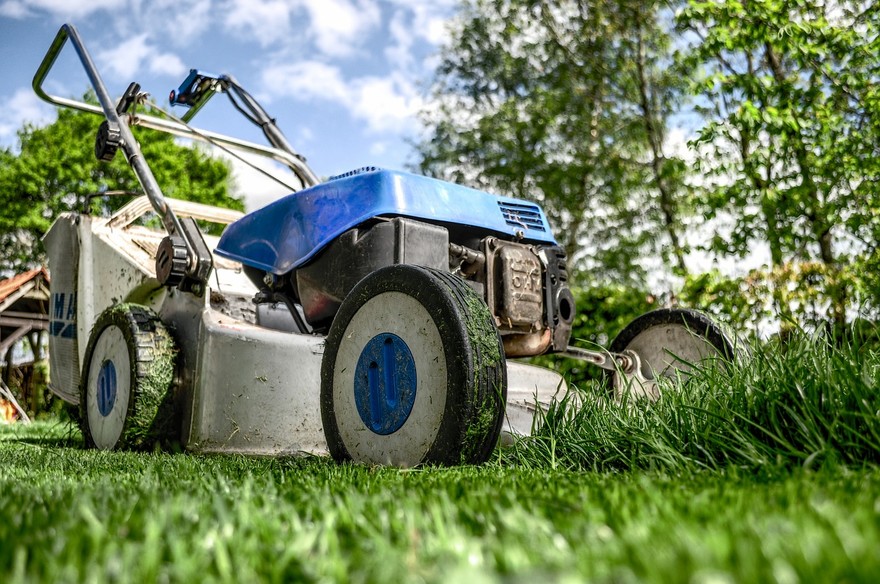 Il piacere di avere un’erba perfetta in giardino