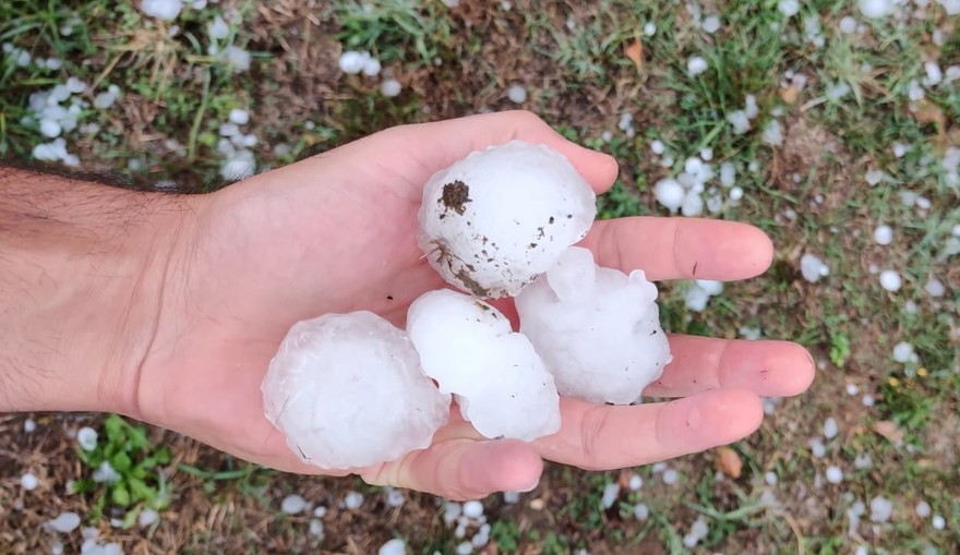 Maltempo in Toscana, Coldiretti: “Stop cambiamenti climatici