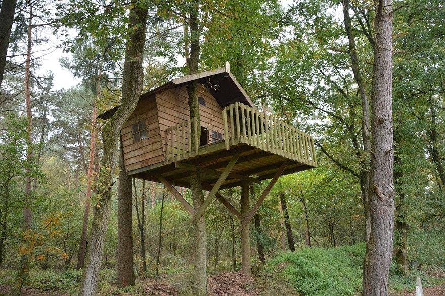 Il sogno di tutti: una casa sull’albero