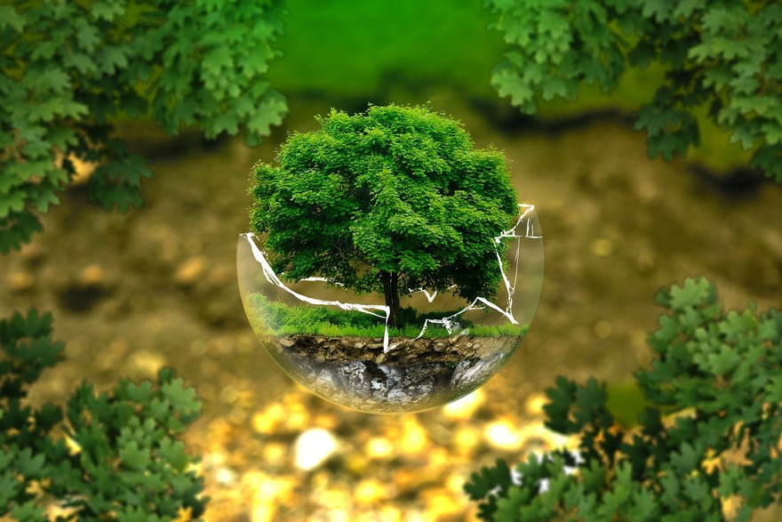green sostenibilità.jpg