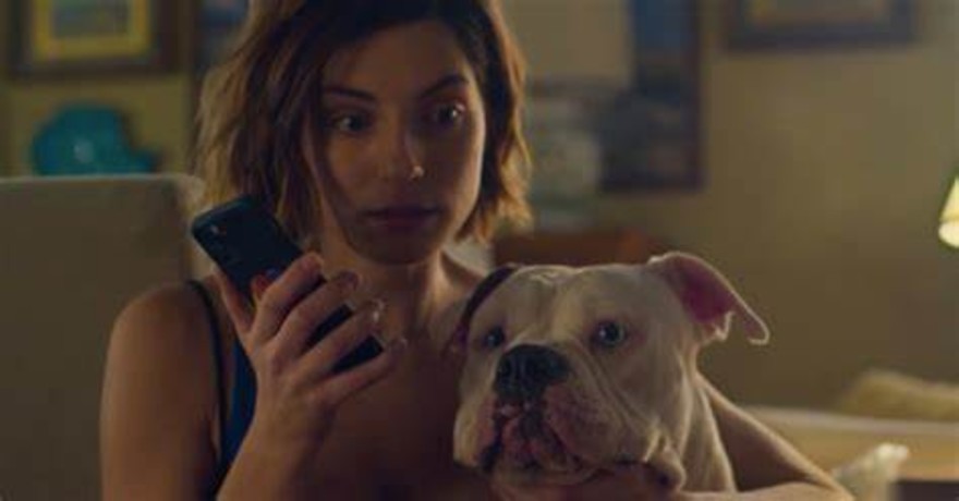 In tv successo per la fiction Blanca: 'una scommessa premiata'