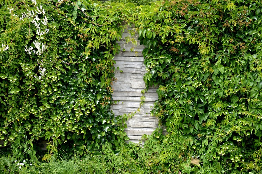 Niente giardino? Costruiamolo su una parete del salotto