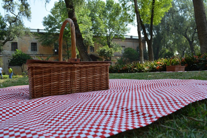 pic-nic-2764148_1920.jpg