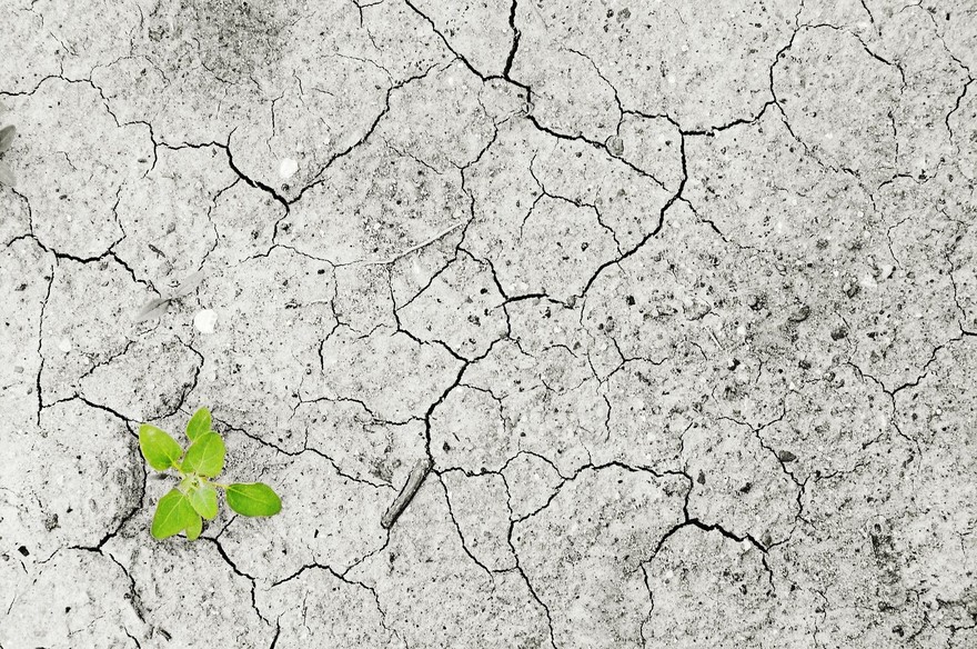 Il 2023 è stato anno nero per i danni del clima alle PMI