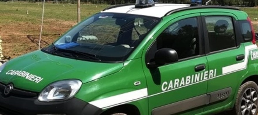 Inquinamento e traffico illecito rifiuti, due arresti a Frosinone
