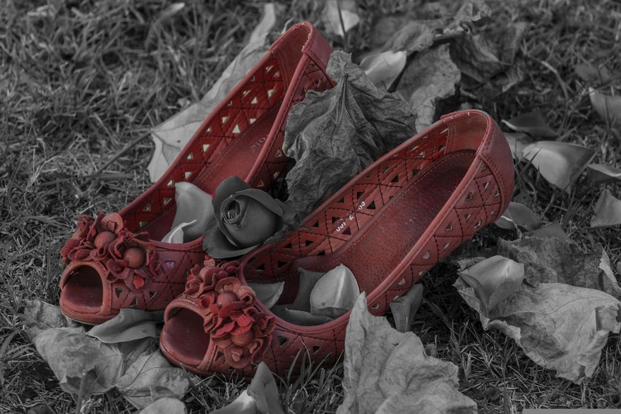 Femminicidi: 'il fenomeno si sconfigge solo facendo squadra'