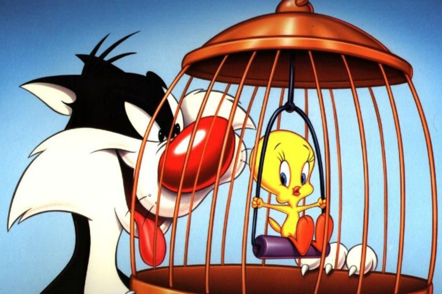 La beffa dell'esordio in nome dell'antipatico canarino