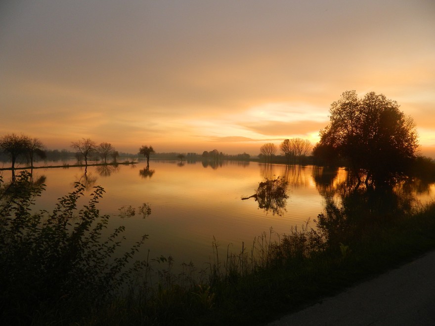 Le campagne sott’acqua e scatta l'allarme
