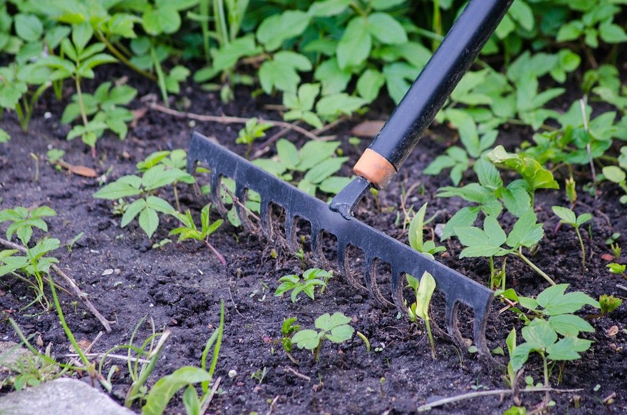 Gli attrezzi fondamentali per il giardino 