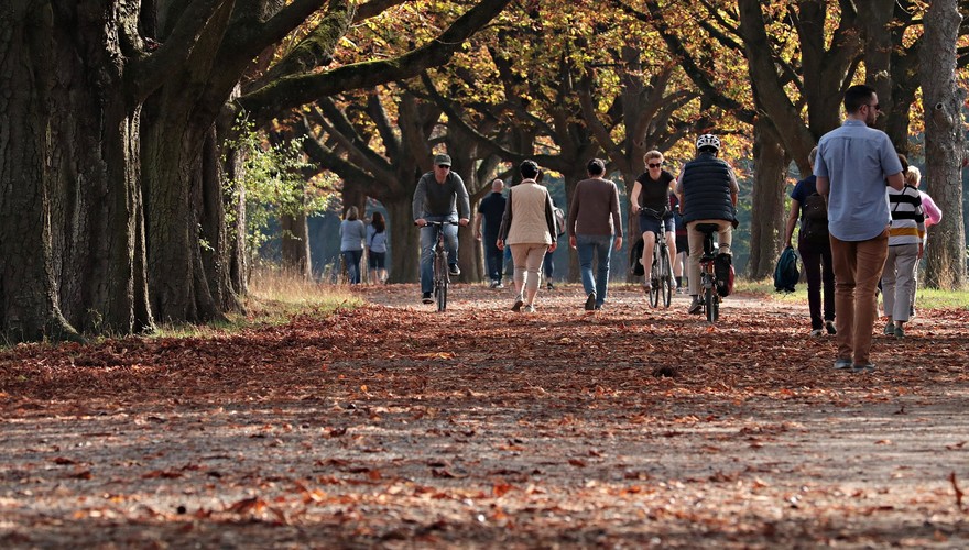 Caldo: non cadono le foglie dagli alberi e pungono le zanzare