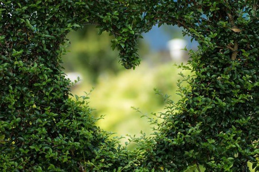 Bonus Verde, gli interventi sui giardini condominiali 