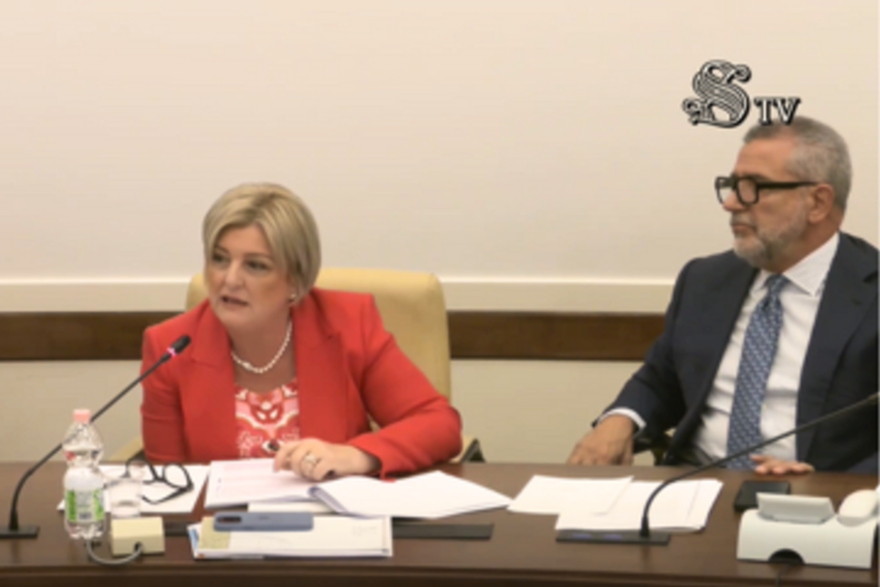 Audizione-Calderone-180724.png