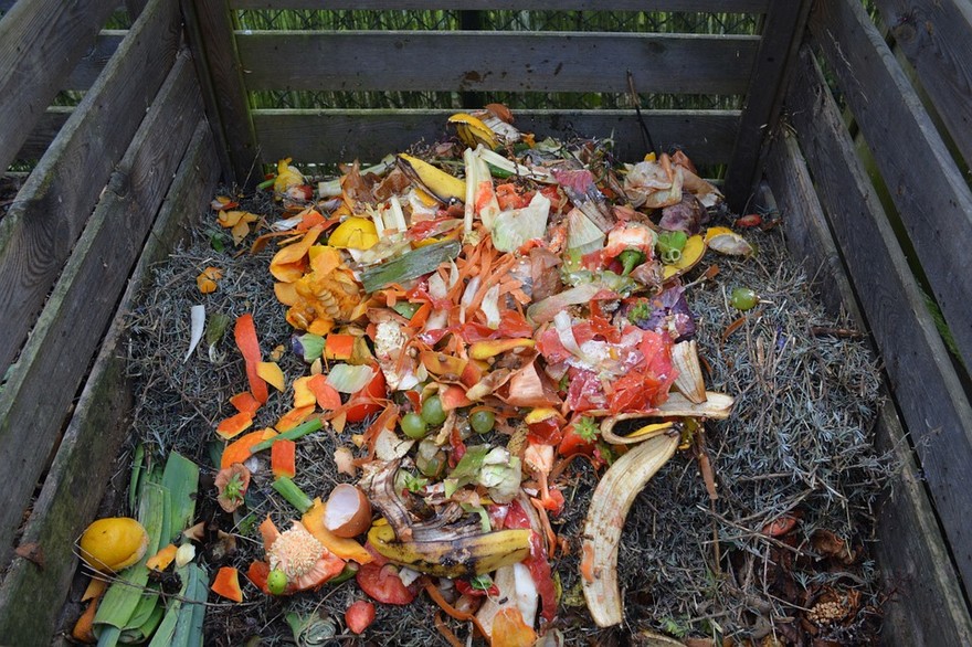 Compost fai da te, la soluzione per recuperare gli avanzi fertilizzando le nostre piante
