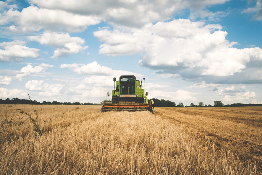 Azienda di produzione agricola 