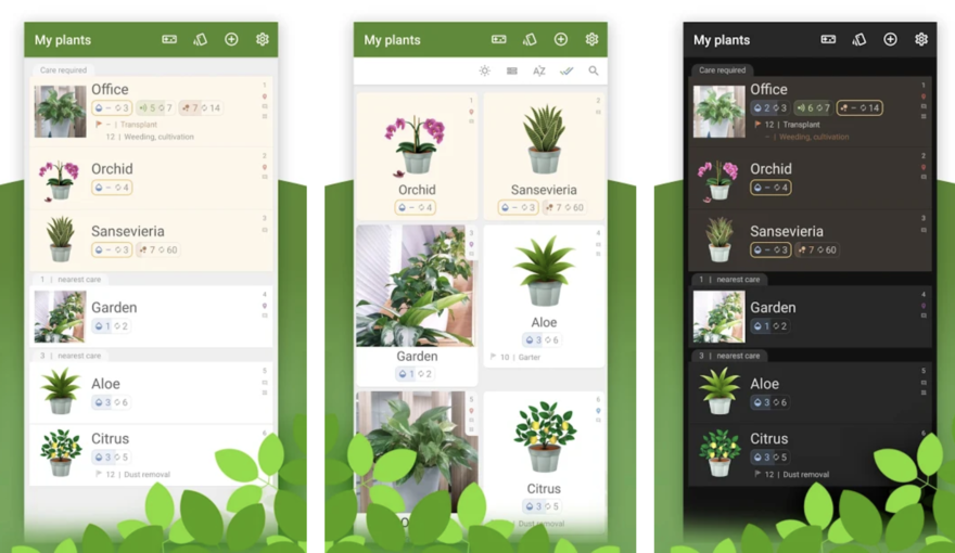Plant carer