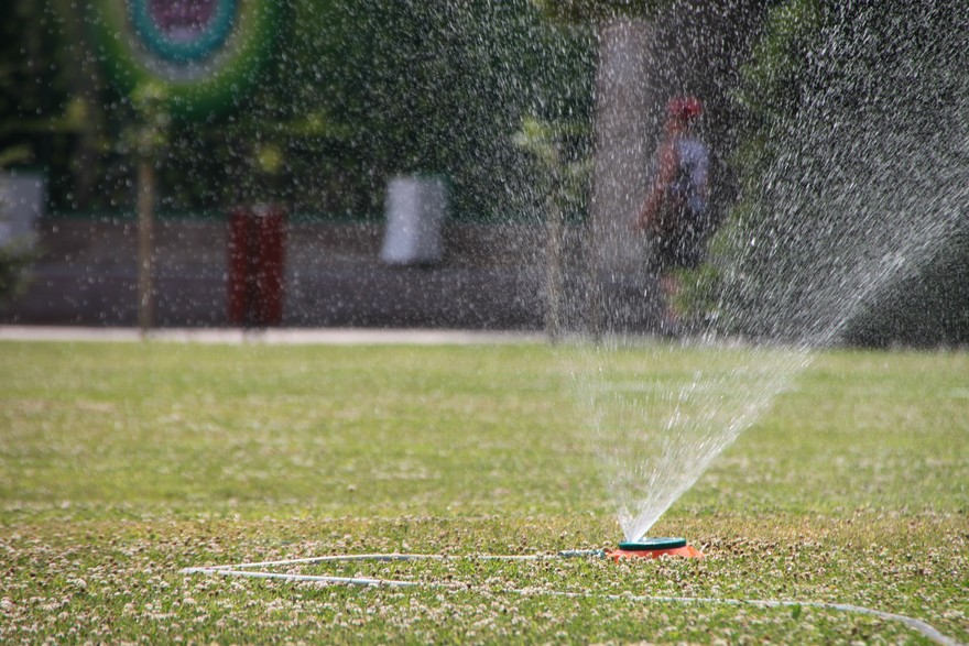 Come funziona il bonus verde